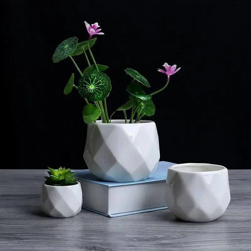 Creative Ceramic Diamond Geometric Flowerpot Simple Succulent Plant CoCreative Ceramic Diamond Geometric Flowerpot Simple Succulent Plant Container Green Planters Small Bonsai Pots Home Decoration